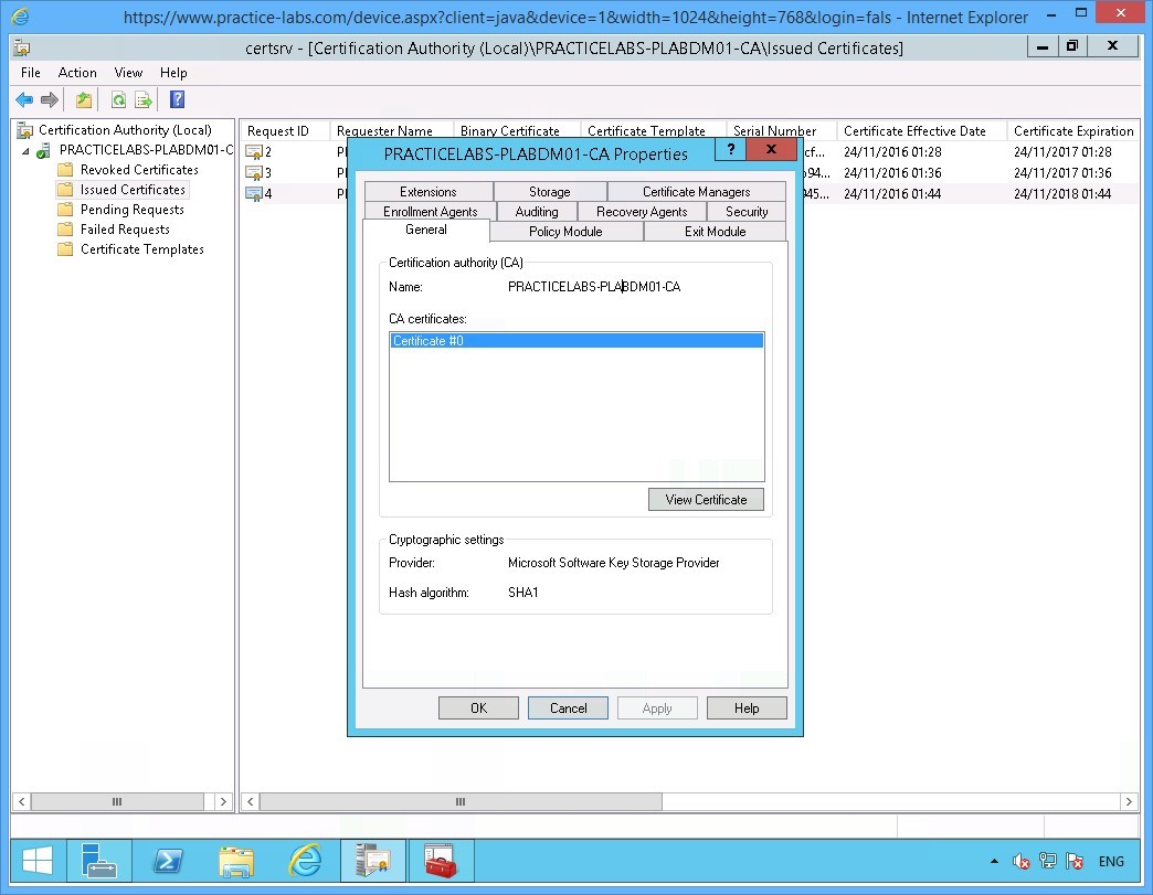 Practice Labs screenshot.